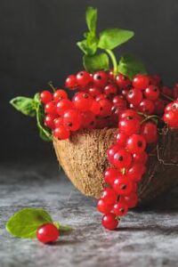 Redcurrants (Ribes rubrum)